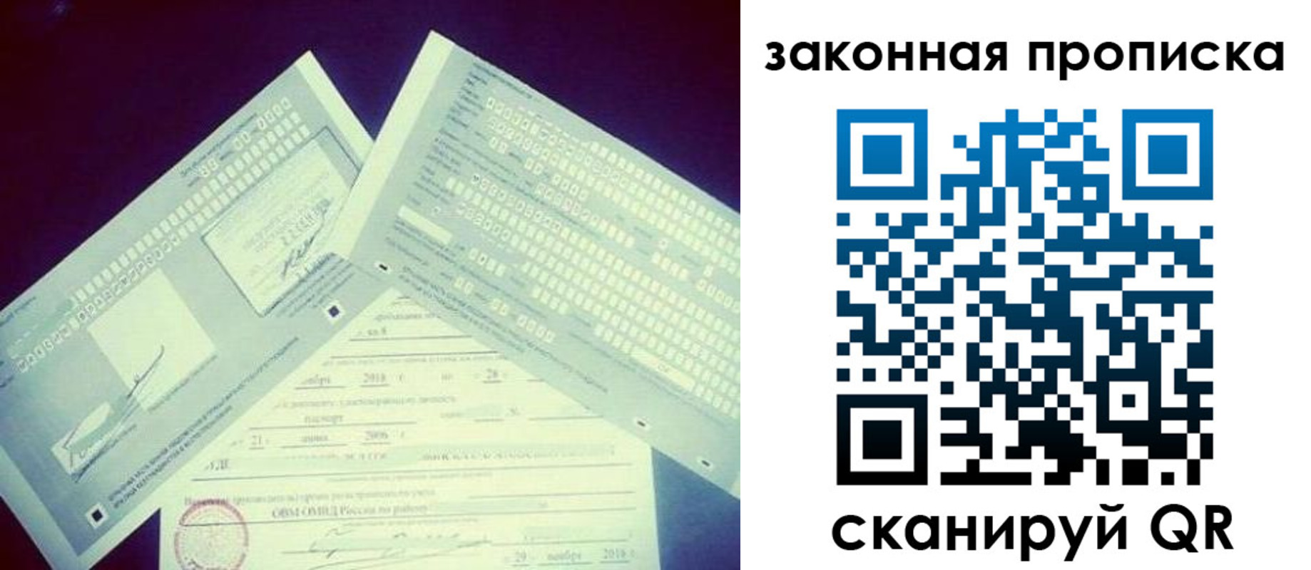 прописка поиск в Ярославской области