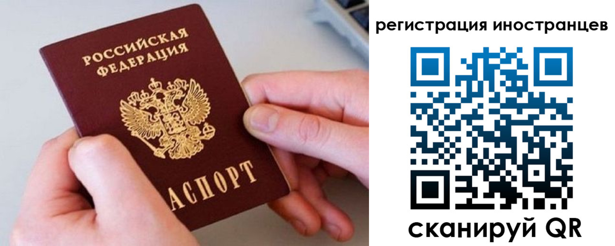 регистрация в Ярославской области